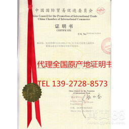 上海網上貿易代理 數字化時代的商業橋梁